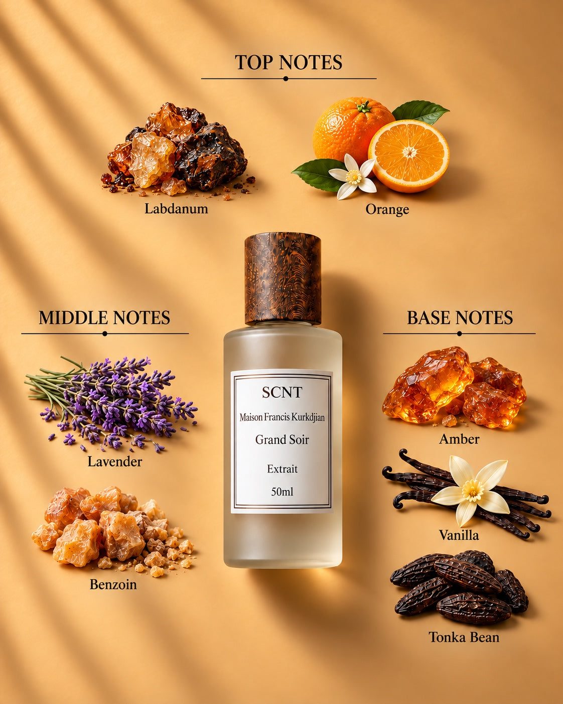 SCNT Grand Soir Extrait 50ml — top, middle and base notes