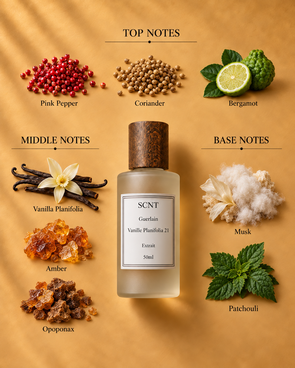 SCNT inspired by Guerlain Vanille Planifolia Extrait 21 with vanilla, amber and opoponax