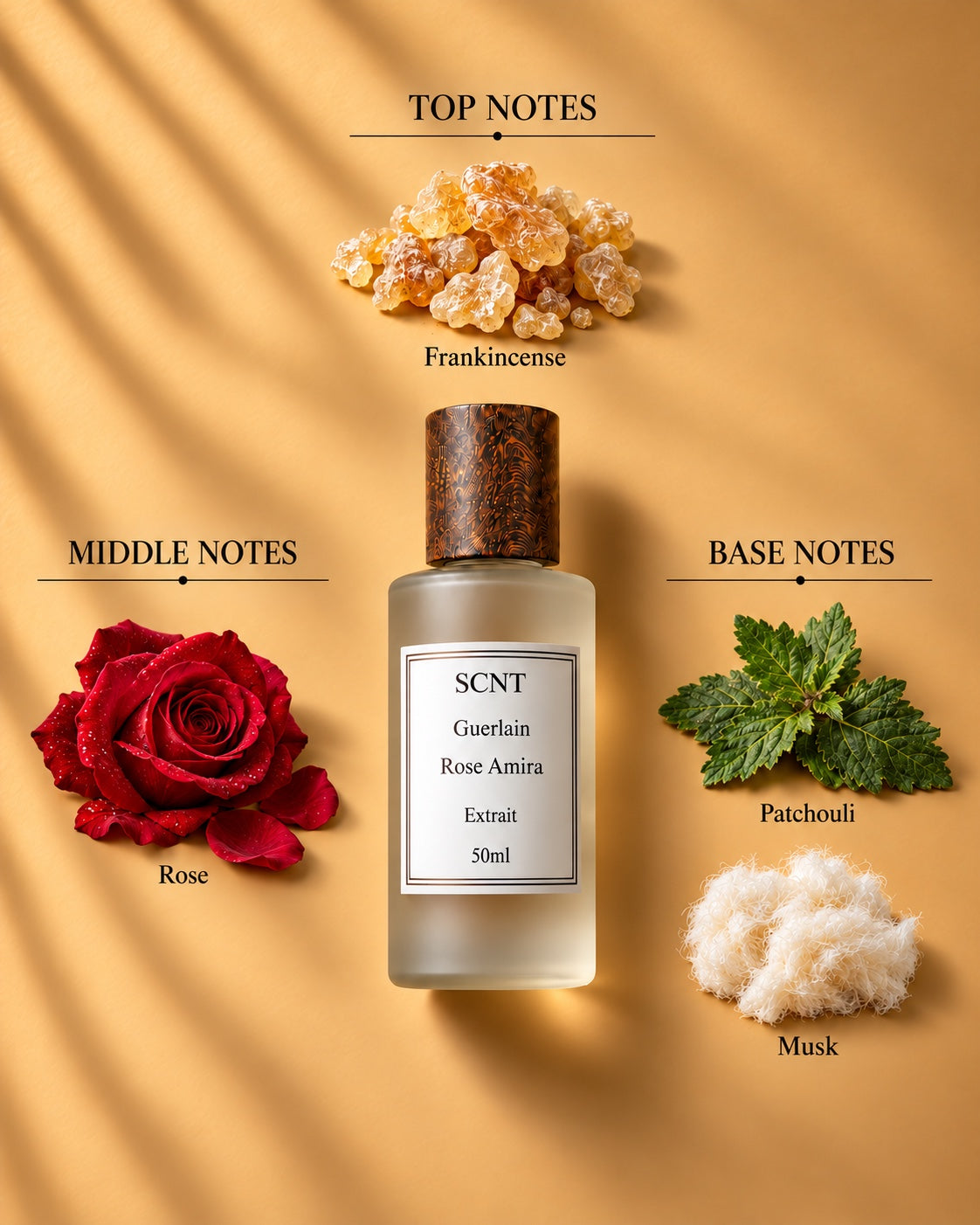 SCNT Rose Amira Extrait 50ml — top, middle and base notes