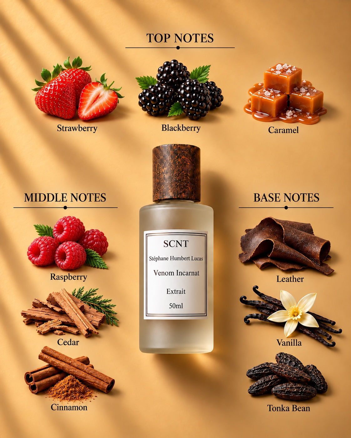 SCNT Venom Incarnat Extrait 50ml — top, middle and base notes